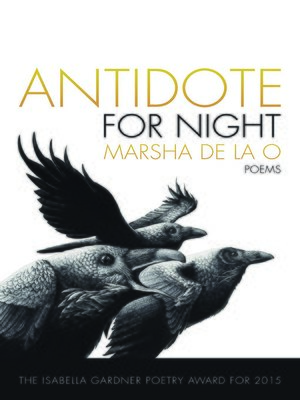 cover image of Antidote for Night